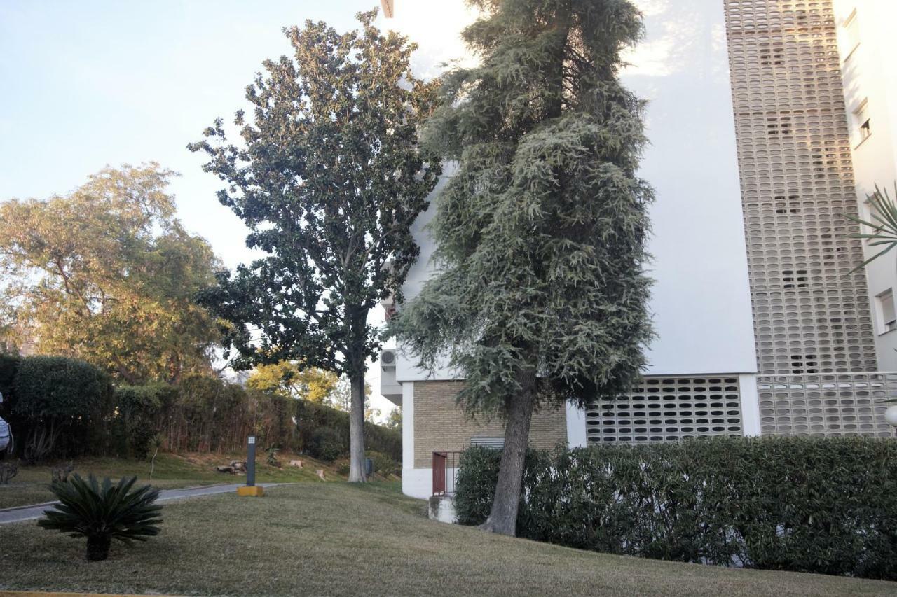Bonito Apart. Con Parking Y Piscina マイレナ・デル・アルハラフェ エクステリア 写真